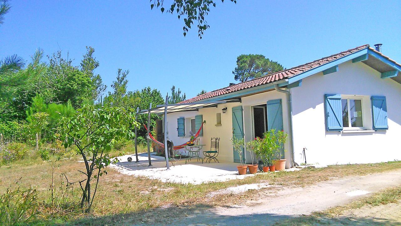 Sauna - Jacuzzi - 100% Privé - L'Estantada Linxe Esterno foto